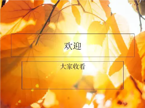 英汉汉英翻译实训教程Chapter One Introduction to Translation