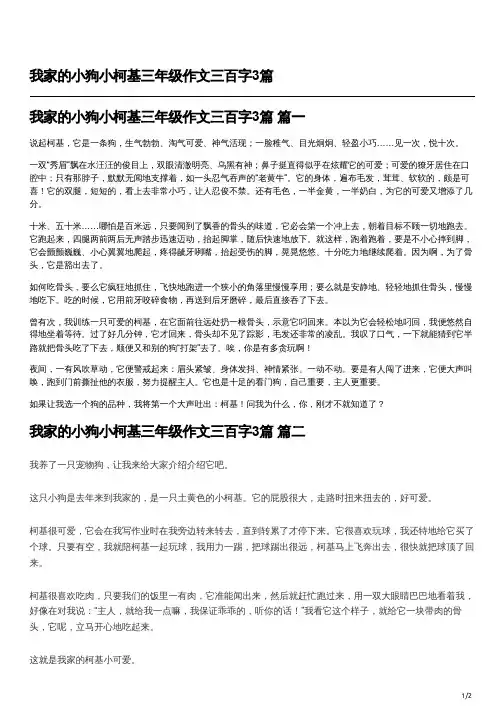 我家的小狗小柯基三年级三百字作文