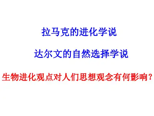 人教版高中生物必修2第七章种群基因频率的改变与生物进化(共26张PPT)