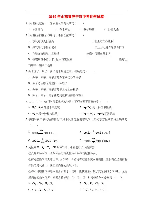 山东省济宁市2019年中考化学真题试题(含解析)