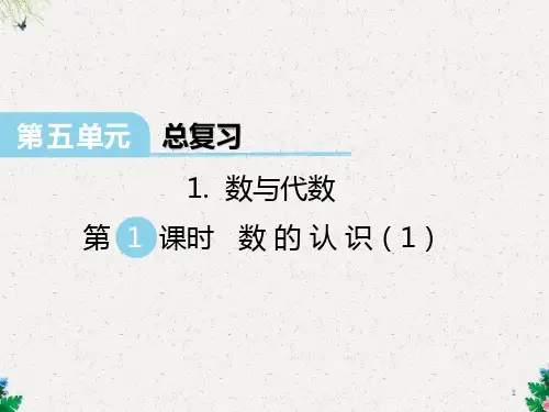六年级下册数学课件-第五单元总复习数与代数 第1课时 数的认识(1)｜西师大版 (共29张PPT)