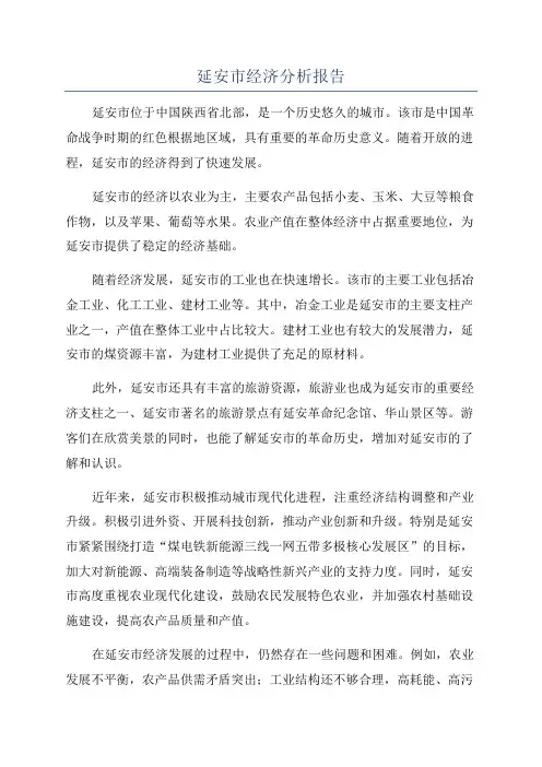 延安市经济分析报告