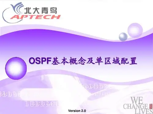 OSPF基本概念及单区域配置