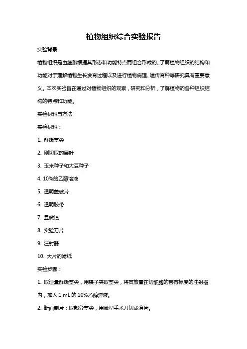 植物组织综合实验报告