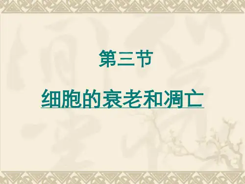 细胞衰老和凋亡ppt