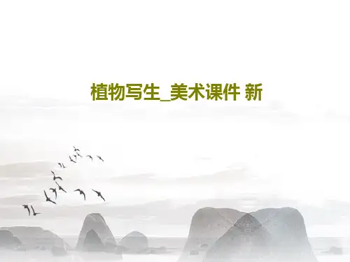 植物写生_美术课件 新33页PPT