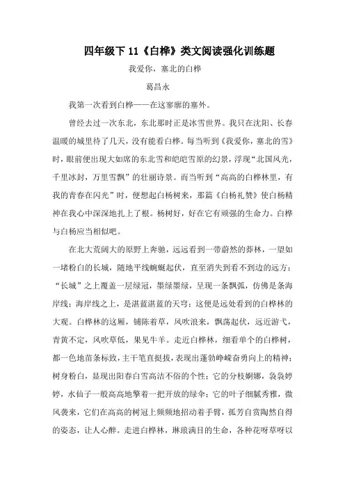 四年级下册语文11《白桦》类文阅读强化训练题