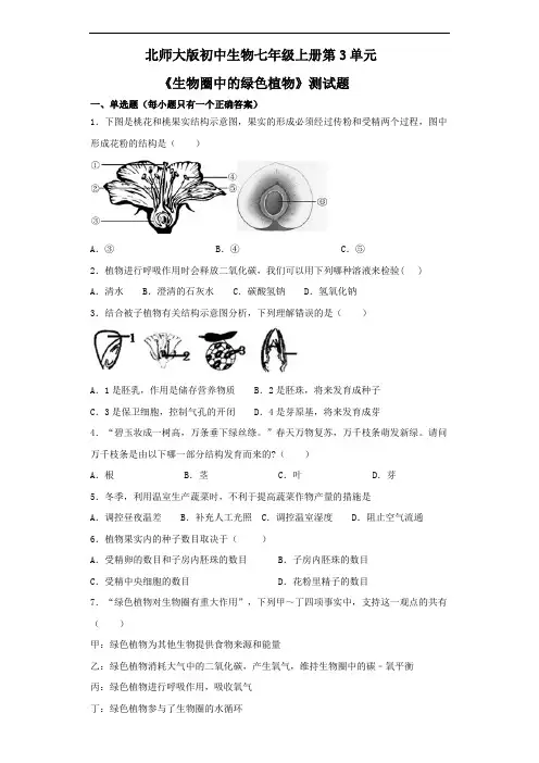 北师大版初中生物七年级上册第3单元《生物圈中的绿色植物》测试题(含答案)
