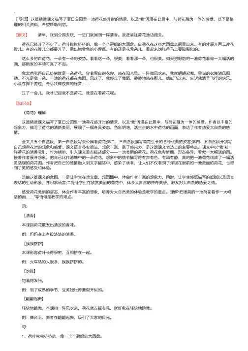 人教版三年级语文下册《荷花》原文、知识点及练习题