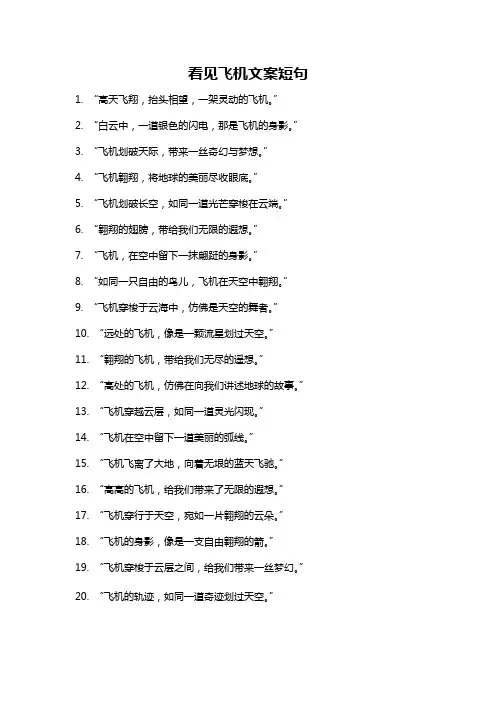 看见飞机文案短句