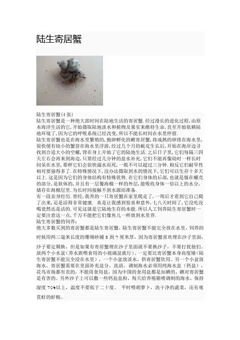 陆生寄居蟹