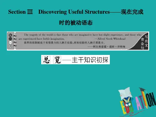 2020学年新课程高中英语必修第二册课件：UNIT 3 THE INTERNET Section Ⅲ Discovering Useful Structures