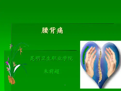 腰背痛ppt课件
