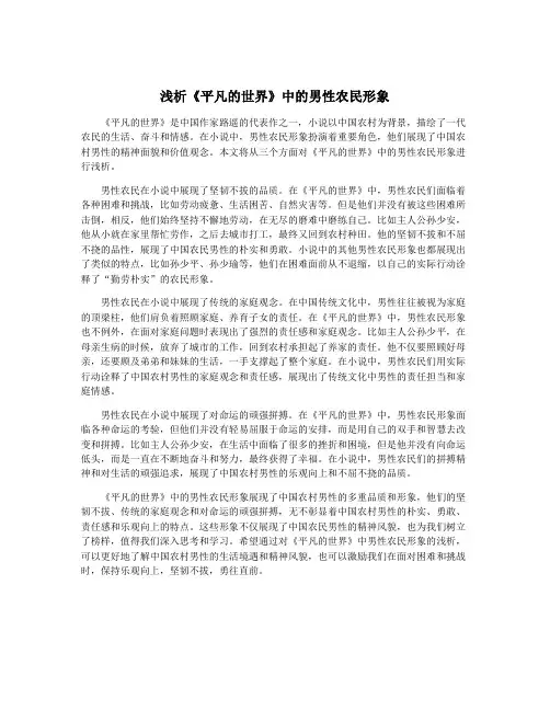 浅析《平凡的世界》中的男性农民形象