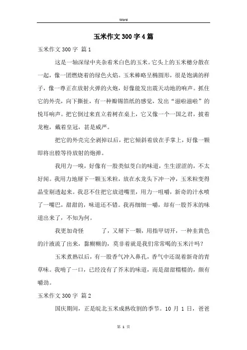 玉米作文300字4篇