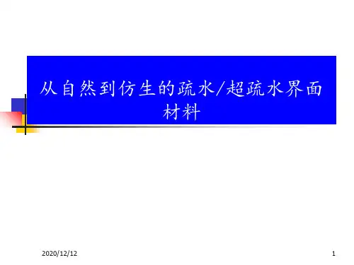 从自然到仿生的疏水超疏水界面材料 ppt课件
