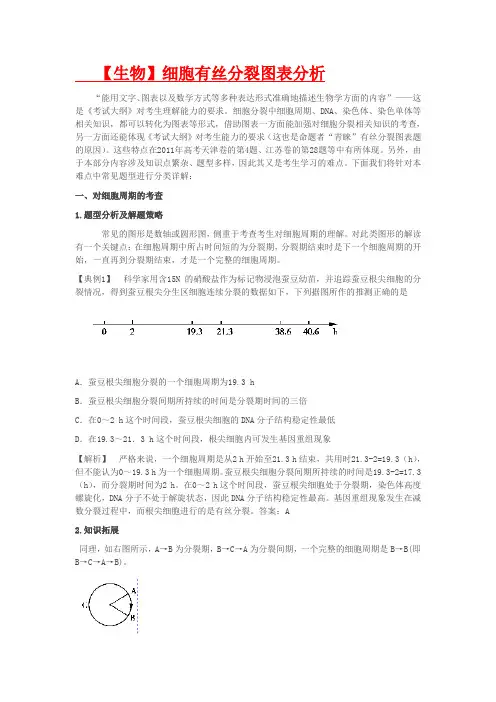 【生物】细胞有丝分裂图表分析