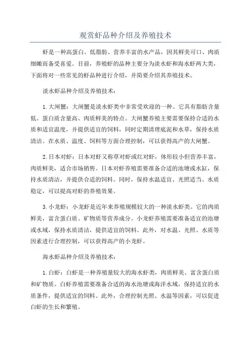 观赏虾品种介绍及养殖技术