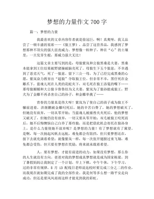 梦想的力量作文700字