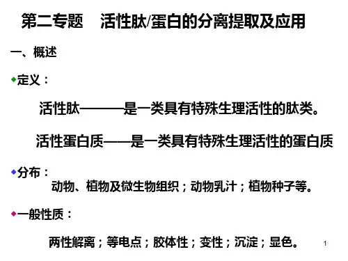 活性肽的分离提取PPT课件