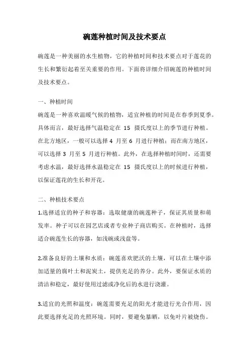 碗莲种植时间及技术要点