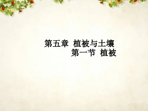 高中地理新人教版必修第一册第五章第一节植被课件(30张)