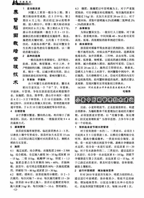 小麦中后期管理技术建议
