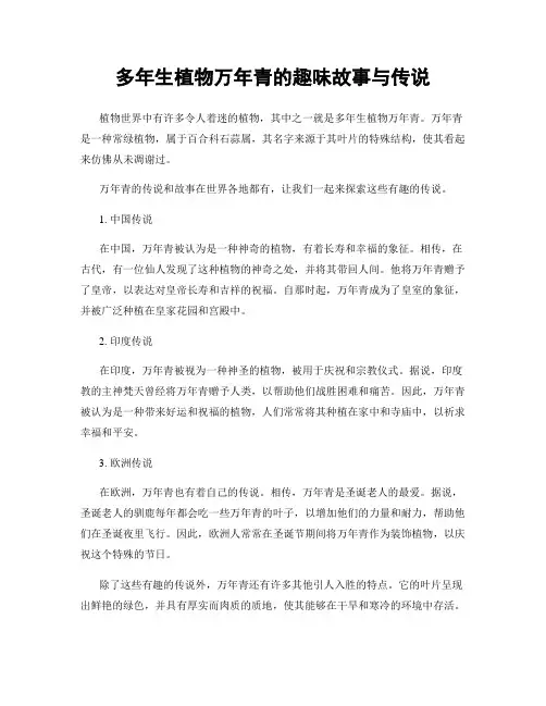 多年生植物万年青的趣味故事与传说