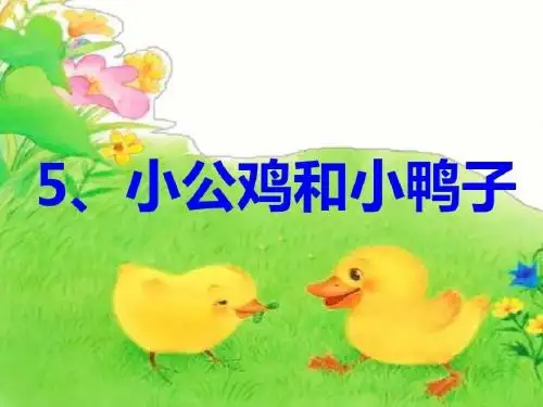 部编版一年级下册语文课文5《小公鸡和小鸭子》
