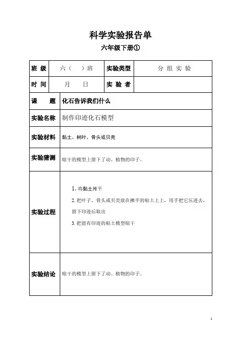 苏教版六年级下册科学实验报告单