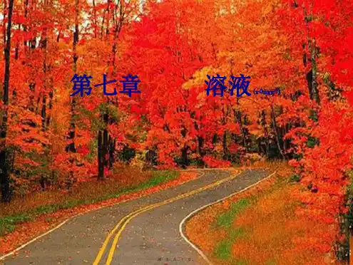 中考化学 溶液课件
