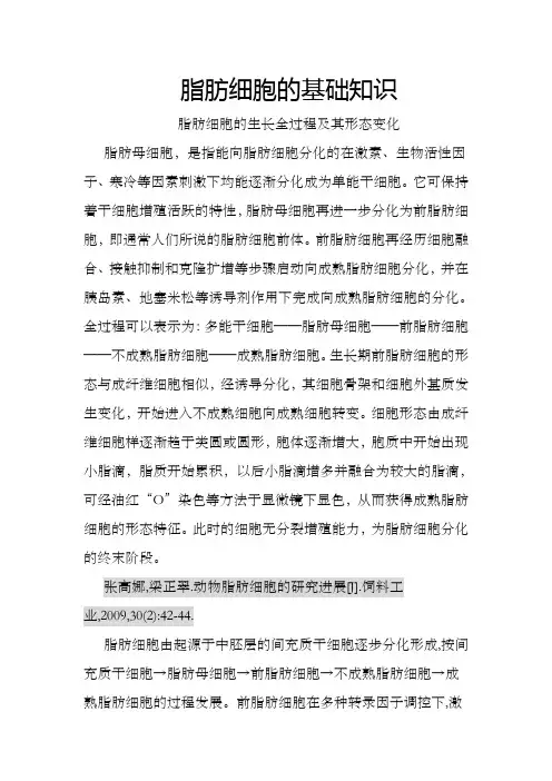 脂肪细胞的基础知识