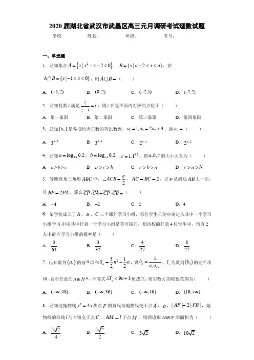 2020届湖北省武汉市武昌区高三元月调研考试理数试题
