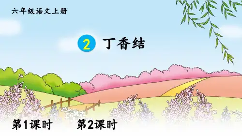 人教版六年级语文上册第2课《丁香结》精品课件【最新】
