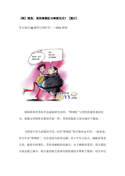 男性啤酒肚与啤酒无关
