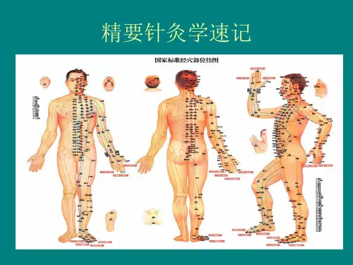 精要针灸学速记