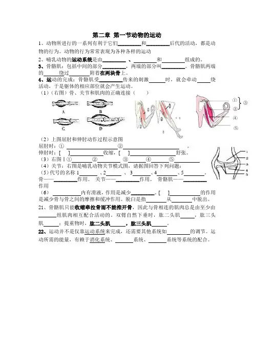 八上生物第二章动物的运动和行为 知识点