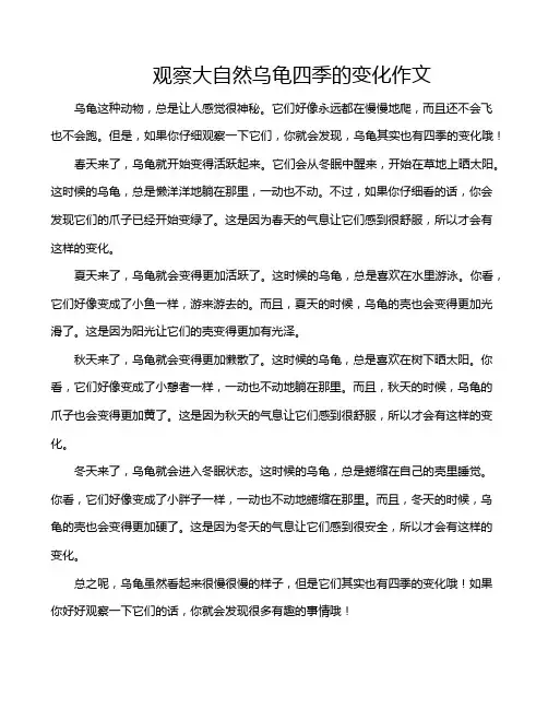 观察大自然乌龟四季的变化作文