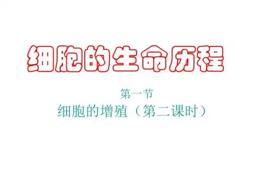 高一生物必修一第六章细胞增殖第二课时课件