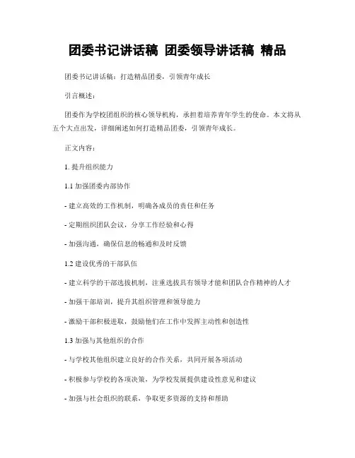 团委书记讲话稿 团委领导讲话稿 精品