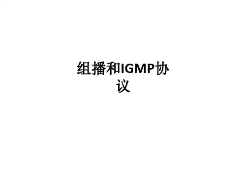 组播和IGMP协议ppt课件