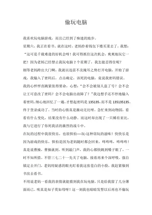 五年级叙事偷玩电脑