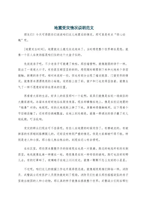 地震受灾情况说明范文