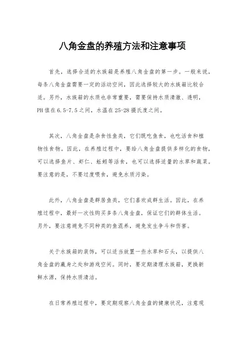 八角金盘的养殖方法和注意事项