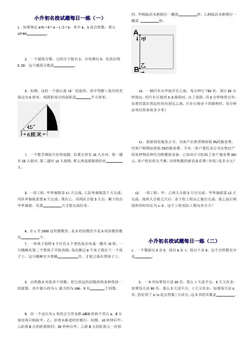 小升初名校试题每日一练(共5套试题词)