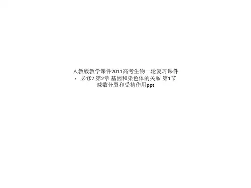 人教版教学课件2011高考生物一轮复习课件：必修2 第2章 基因和染色体的关系 第1节 减数分裂和受