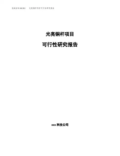 光亮铜杆项目可行性研究报告