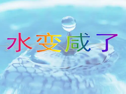 二年级下册科学课件-第二章第5节《水变咸了》1｜人教版 (共22张PPT)
