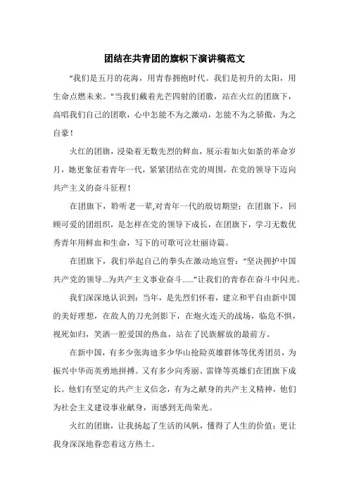 《团结在共青团的旗帜下演讲稿范文》