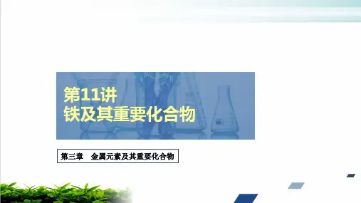 铁及其重要化合物ppt完美课件2021届高考化学创新复习(97页)